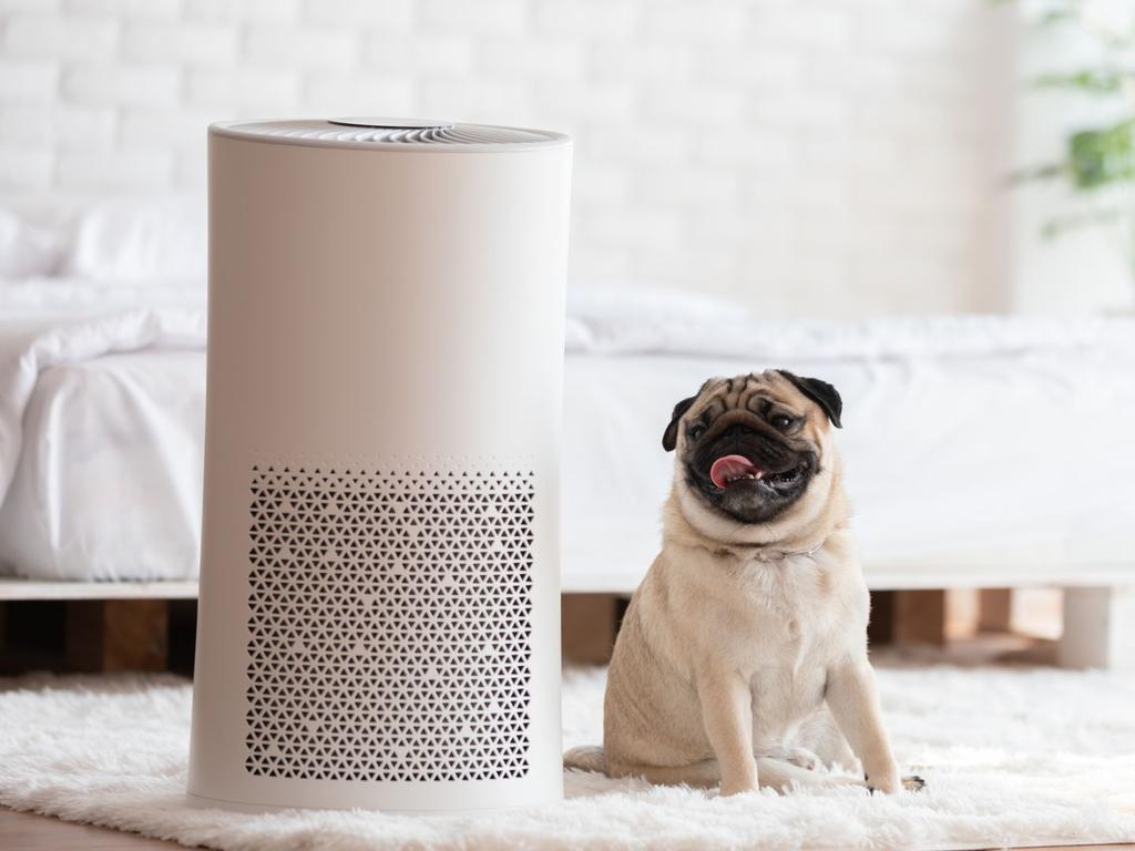 Air purifiers shouldn’t replace proper cleaning home practices. Picture: iStock.