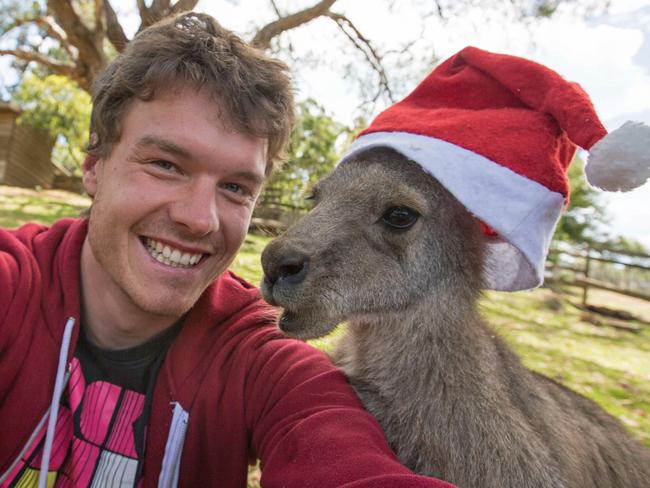 Allan Dixon’s animal selfies - kangaroo. Pic: @Daxon/Caters News