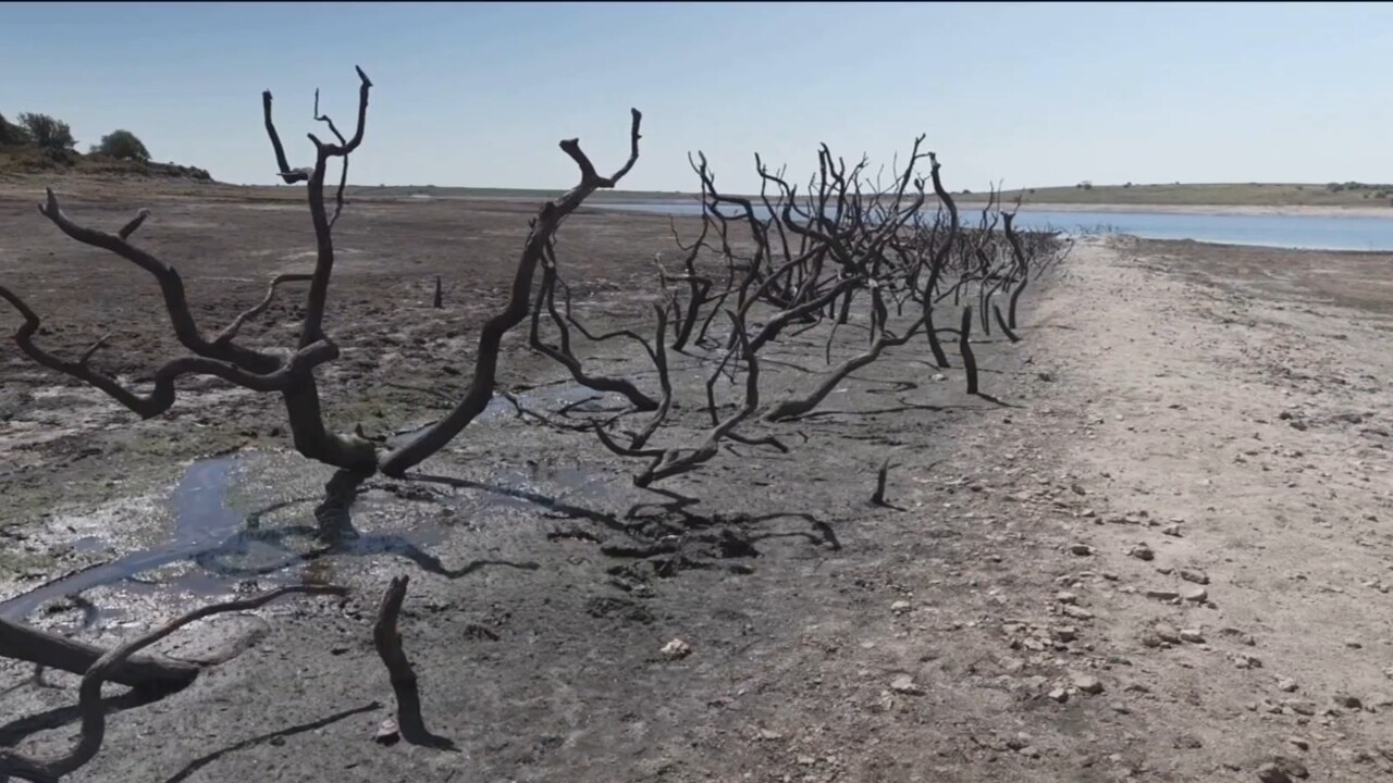 Drought Declared Across Parts Of UK | Sky News Australia