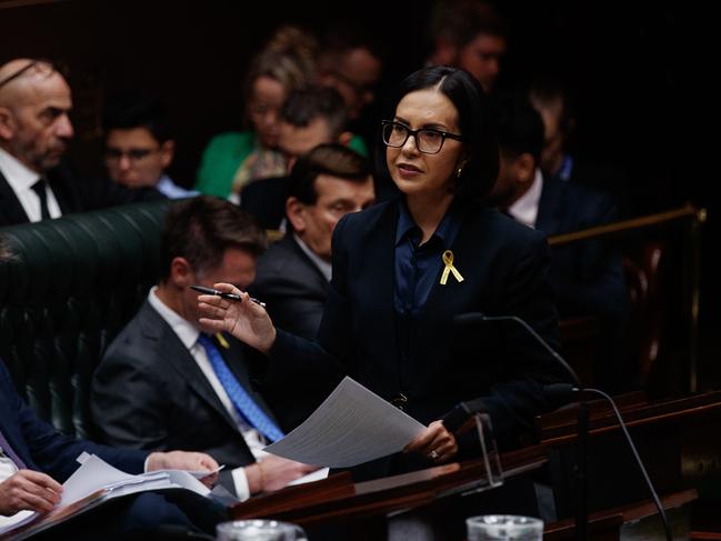 NSW Deputy Premier Prue Car said the new school would support generations of families. Picture: NewsWire / Nikki Short
