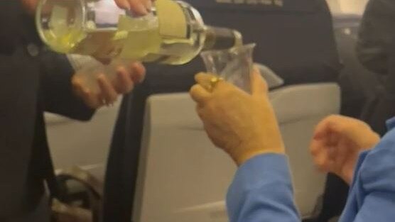 Passengers were offered complimentary wine instead. Picture: Nine