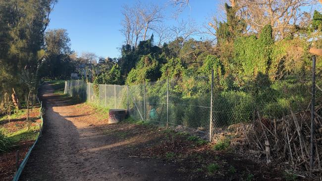 The proposed Manly Vale mountain bike trail and jump park is an overgrown section of land currently fenced off behind the Manly Vale industrial estate. Picture: Supplied.