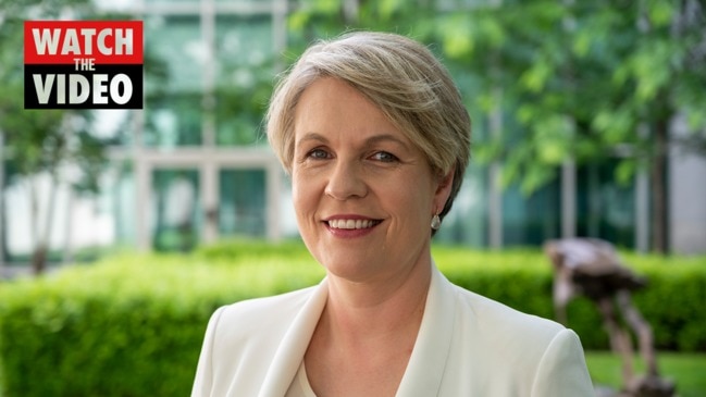 Tanya Plibersek becomes Australia’s longest serving female in the House of Representatives