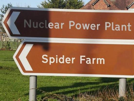 What could possibly go wrong?