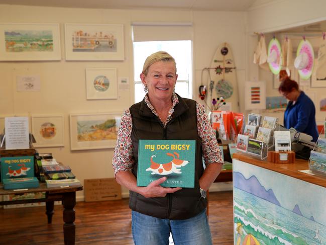 Children's author and illustrator Alison Lester was Australia's inaugural children's laureate from 2011 to 2013. Picture: Andy Rogers