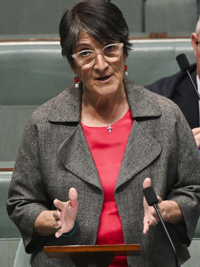 Labor MP Maria Vamvakinou. Picture: Martin Ollman