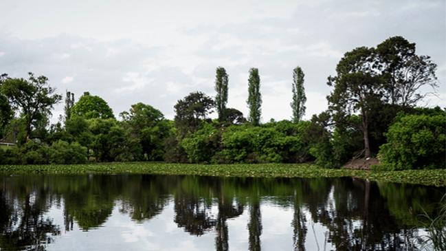 The housing development sits near Bega’s Glebe wetlands. Picture: Littlewoods