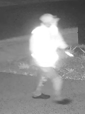 Police are appealing to the public for information on a man who fired a gun at a home in Rosanna on December 21.