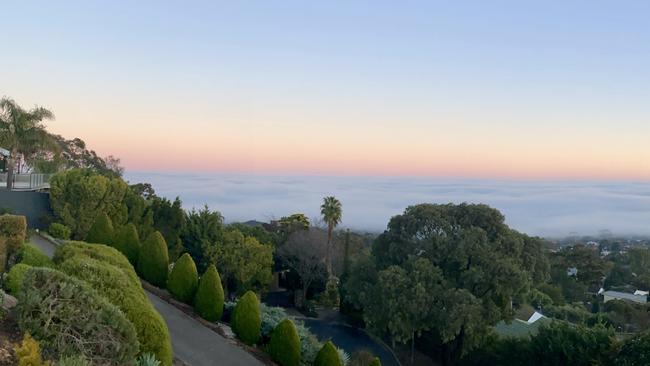 Adelaide shrouded in fog on Tuesday, July 14, 2020. Picture: Claire Parkinson