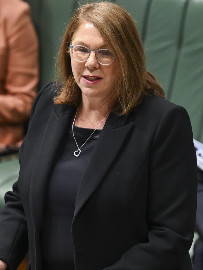 Transport Minister Catherine King. Picture: NCA NewsWire/Martin Ollman