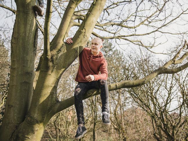 People have been fined for climbing a tree in a public park.