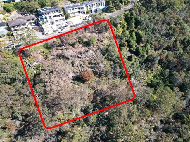 In Sydney’s Castle Cove, 265 trees on a waterfront reserve were illegally destroyed.