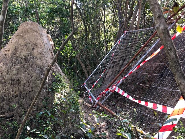 Northern Beaches Council has fenced off around a hectare of land where an illegal BMX bike trail has been created at Seaforth. Picture: Supplied.