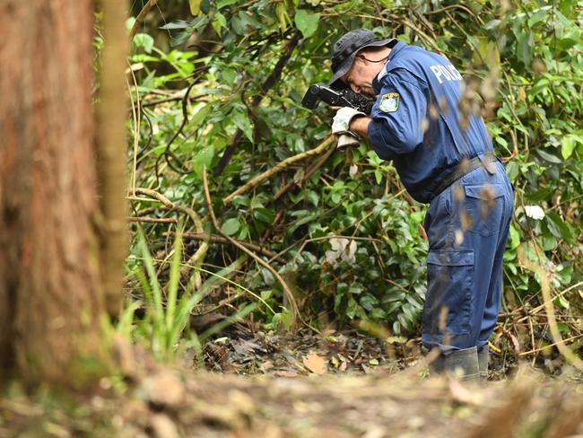 Strike Force Rosann detectives searched scrub off Batar Creek Rd, less than 900m from the William Tyrrell's foster grandmother’s home at Kendall. Picture: Trevor Veale.
