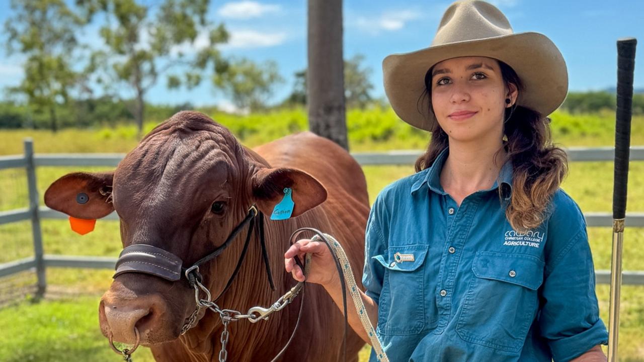 ‘Cattle school’ coming to Townsville