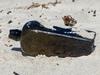 Oldest message in a bottle found on Aussie beach