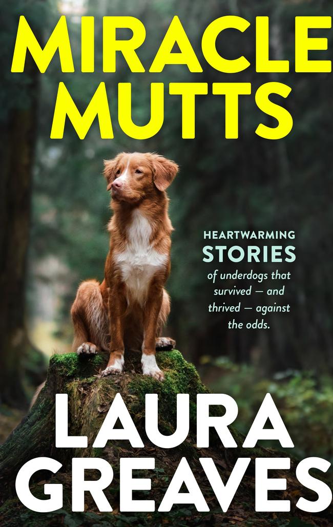 Miracle Mutts by Laura Greaves.