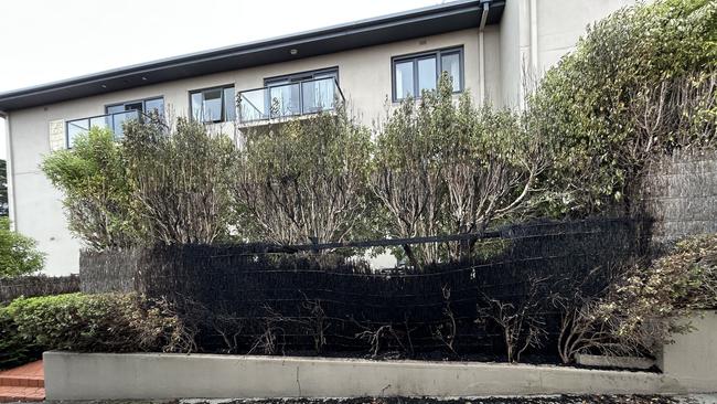 The fire burned through the hedge and fence before firefighters could extinguish it. Picture: Brad Fleet.