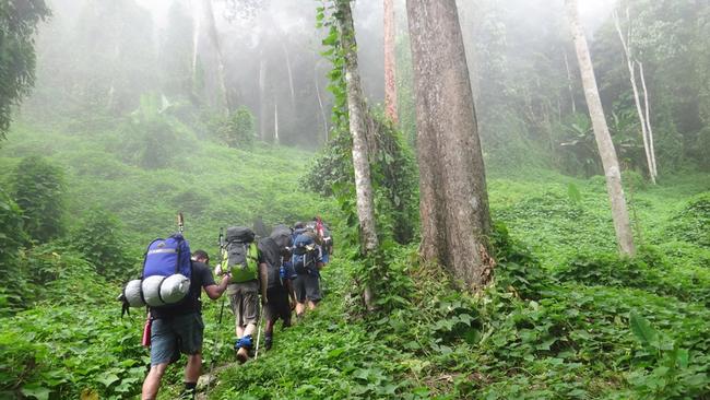 Trekkers hike the Kokoda Track in Papua New Guinea.