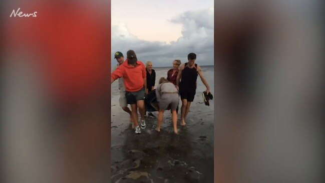 Turtle rescue Bribie Island