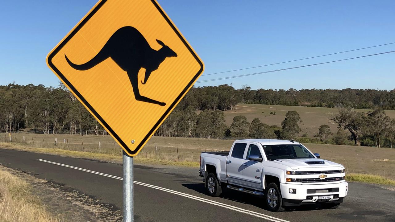 The Chevrolet Silverado isn’t about to challenge Toyota HiLux sales but expect to see plenty on Aussie roads. Picture: Joshua Dowling.