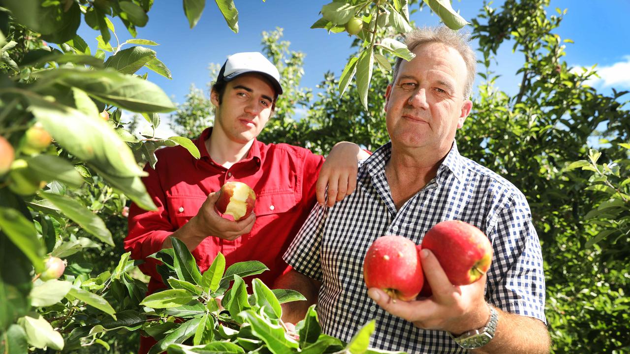 Adelaide Hills apple grower Michael Stafford with his son Jack and hail-damaged apples. Picture: Dean Martin