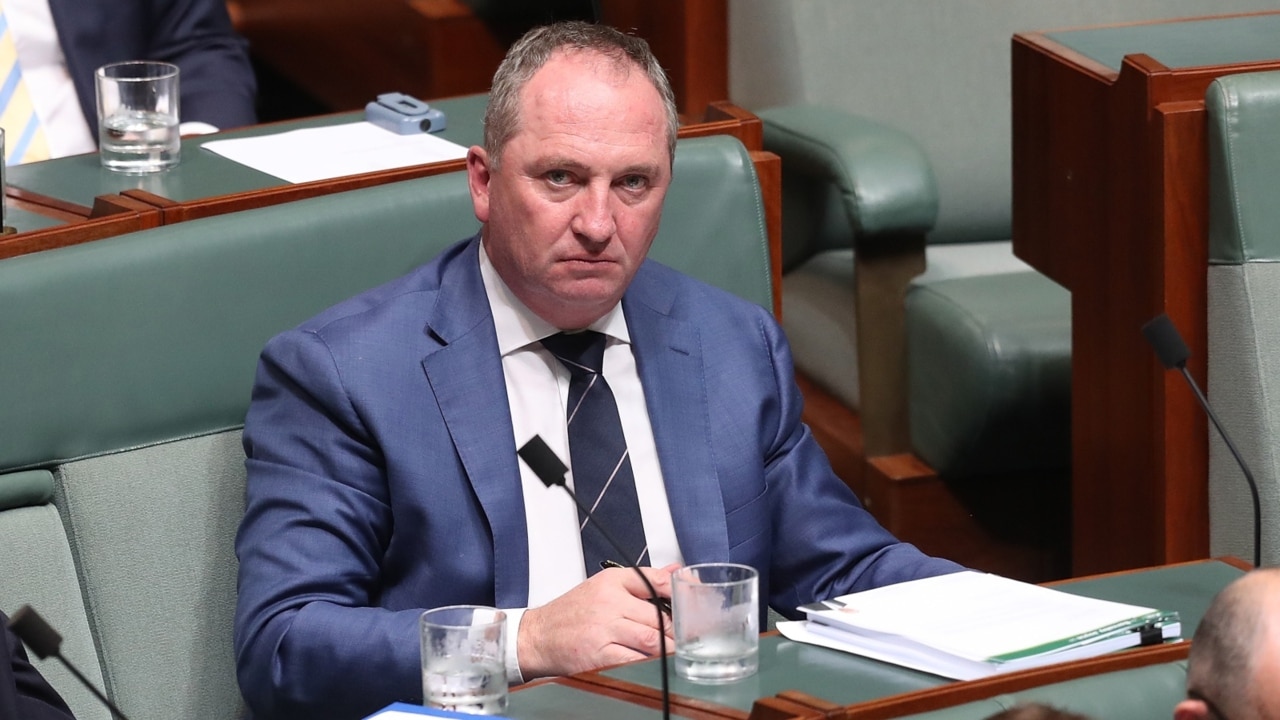 Barnaby Joyce slams pro-Palestinian protesters who scaled Parliament ...