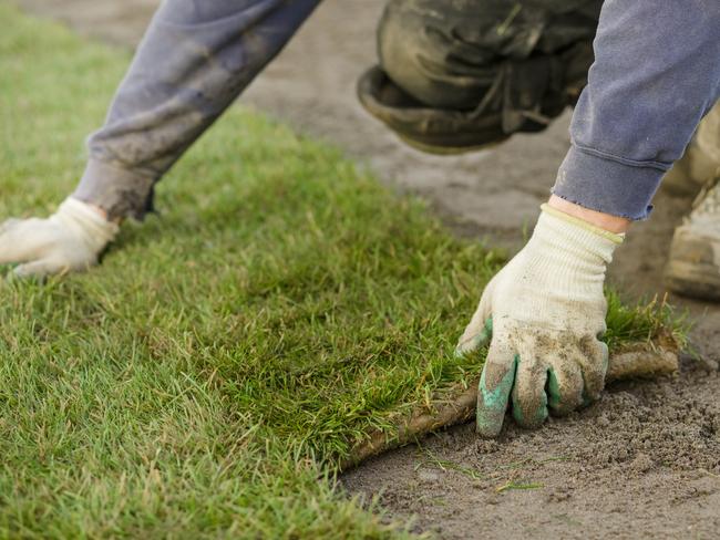 Sadly, you probably won’t be able to save your lawn.