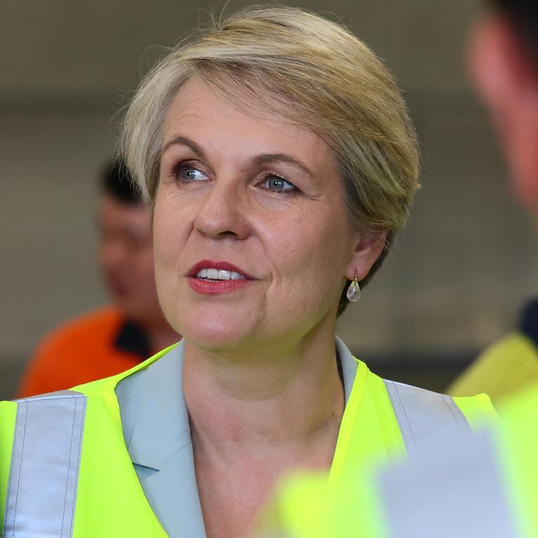 Tanya Plibersek To Announce 50m Boost To Great Barrier Reef Repairs Daily Telegraph 4810