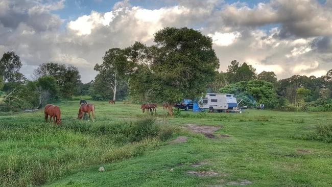 Wild Horse Retreat, Glasshouse Mountains.