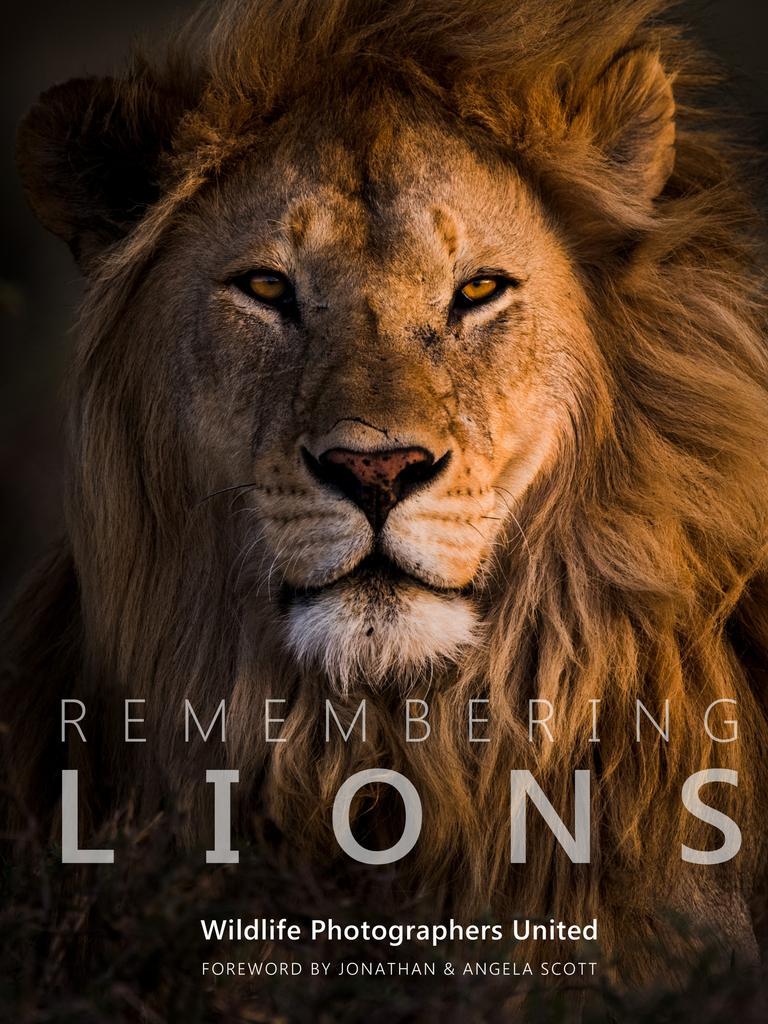 Remembering Lions: Hilary Hann in Remembering Wildlife series photo ...