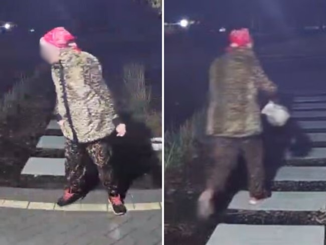 A northeastern suburbs grandma has kicked off after a leopard print-clad neighbour’s bizarre theft — with the culprit caught red-handed on camera. 