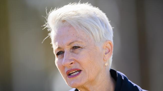 Former MP Kerryn Phelps speaks to the media during a press conference at Australian Parliament House in Canberra, Monday, July 1, 2019. (AAP Image/Rohan Thomson) NO ARCHIVING