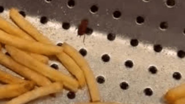 A cockroach was filmed inside the fries warmer. Picture: newy.com.au