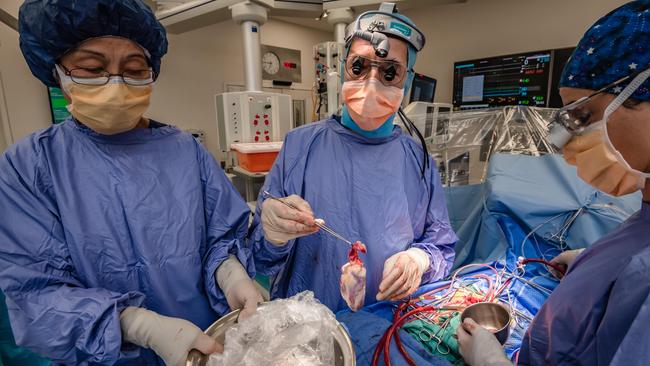 Cardiac surgeon Christian Brizard in Ellie’s surgery. Picture: Jason Edwards