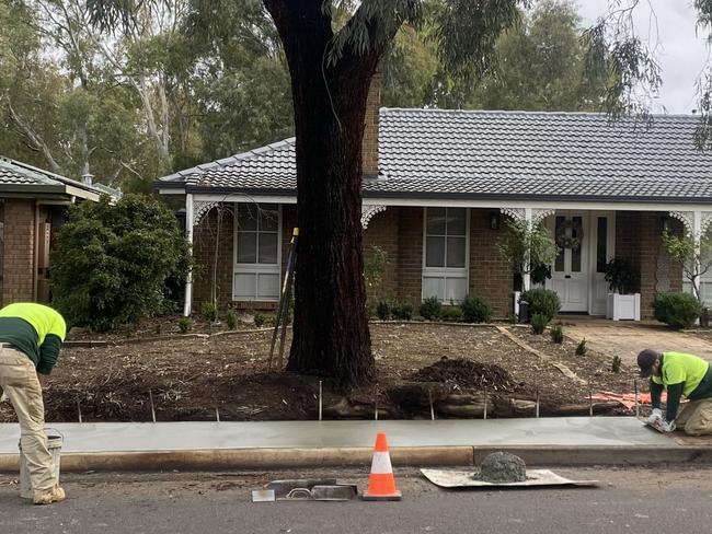 Massive tree wrecks home but council refuses to budge