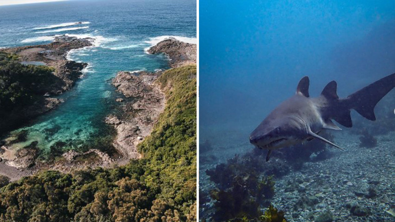 Bushrangers Bay is a seriously good snorkelling spot. Left image: @mezcalitooo, right image: @katelionshark