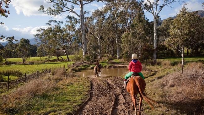 Bogong Horseback Adventures. Picture: Cameron Cope