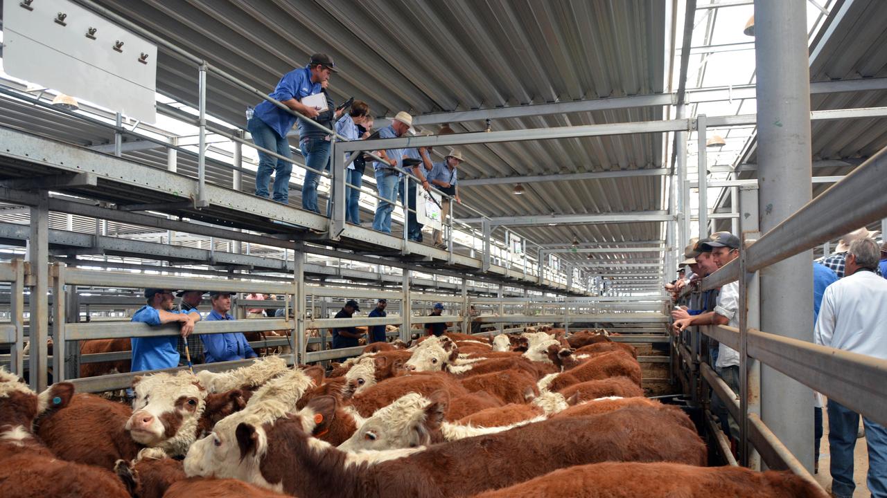 Livestock sales calendar Cattle and sheep The Weekly Times