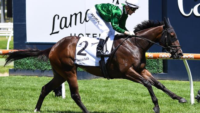 Speedy filly Enthaar can end the day on a hight for punters in the Group 2 Caulfield Sprint. Picture: Racing Photos via Getty Images