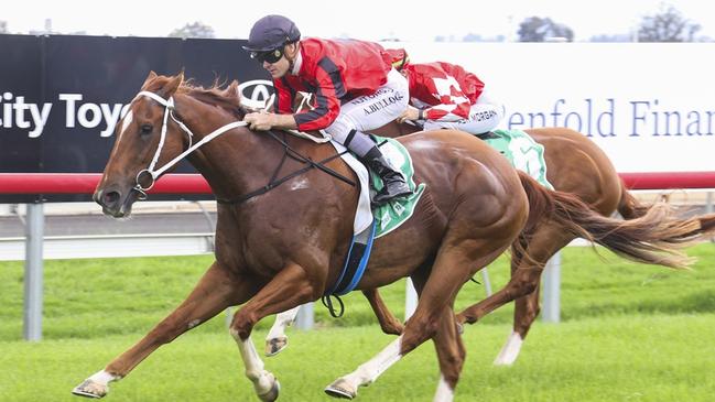 Amicus Curiae and jockey Aaron Bullock reunite at Mudgee. Picture: Bradley Photos