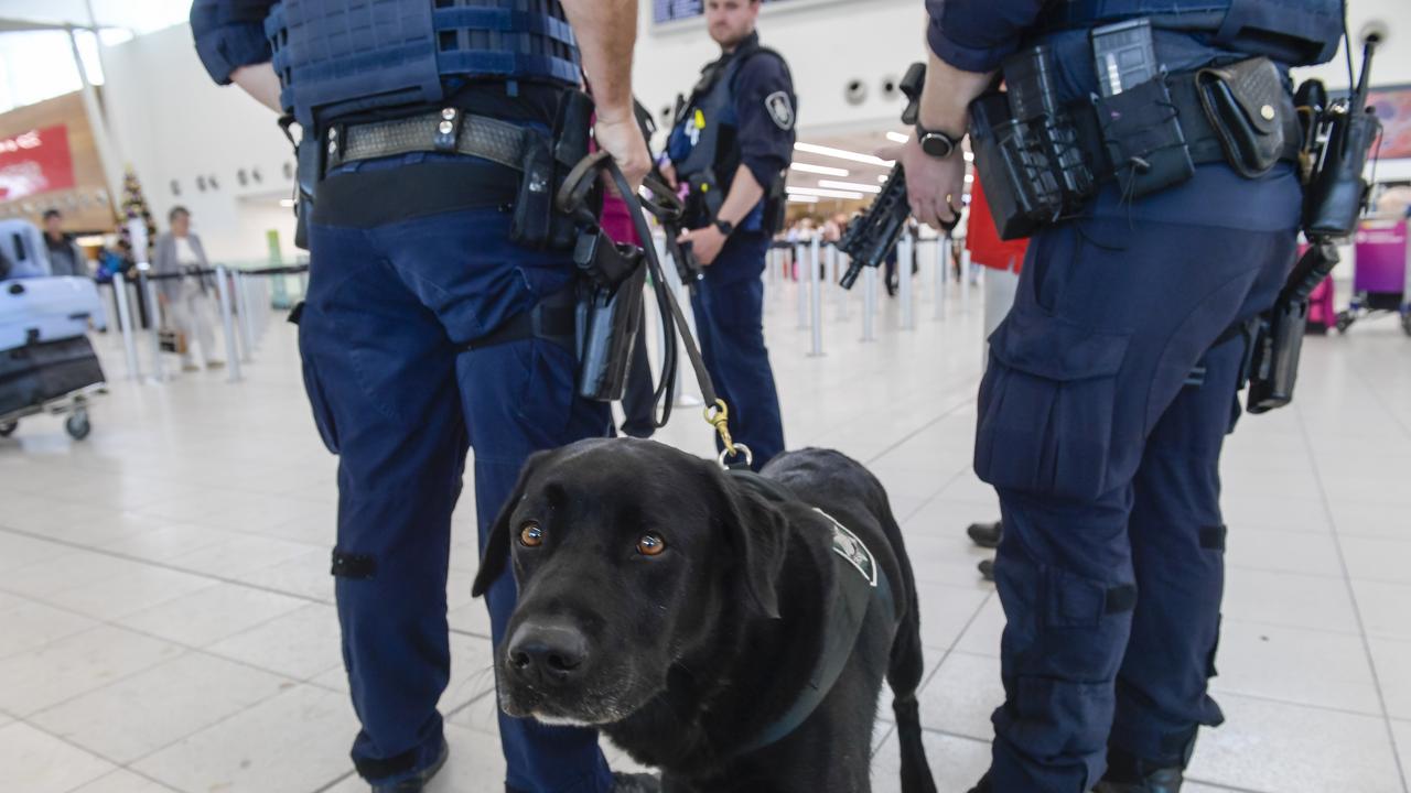 Specialist AFP dogs will also be deployed. Picture: NCA NewsWire / Roy VanDerVegt