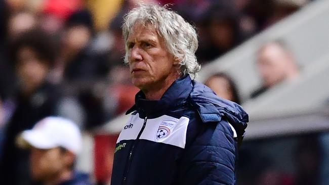 New Dutch coach Gertjan Verbeek has guided Adelaide United to the FFA Cup semi-finals. Picture: Mark Brake/Getty Images