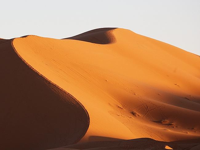 Camel trek through the sand dunes of the Sahara Desert, Morocco | The ...