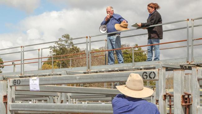 Hayes &amp; Co senior auctioneer Peter Hayes (top left) said the team was excited to take on the challenge. Picture: Navarone Farrell