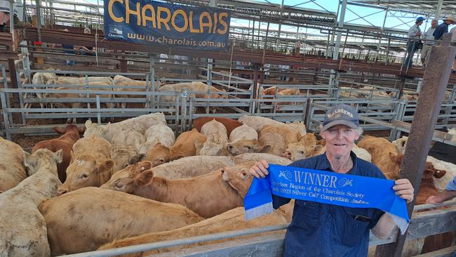 It was a double celebration for Ricky Willis, Carney Dell, at Hamilton today, receiving the sash for the best-presented Charolais sired calves and being one of the few breeders to receive more than 500c/kg. His pen of 29 steers, weighing 380kg, sold for 510c or $1938. Picture: Jenny Kelly