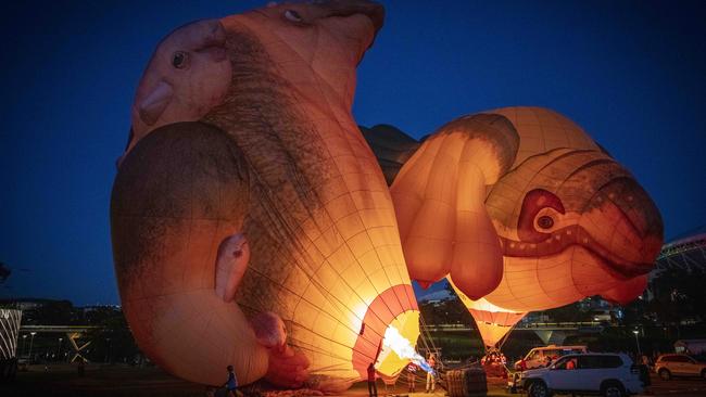 Skywhales being inflated early this morning at Elder Park. Picture Emma Brasier.