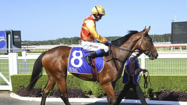 Promising filly Memo can break through for her first win at Randwick. Picture: Bradley Photos