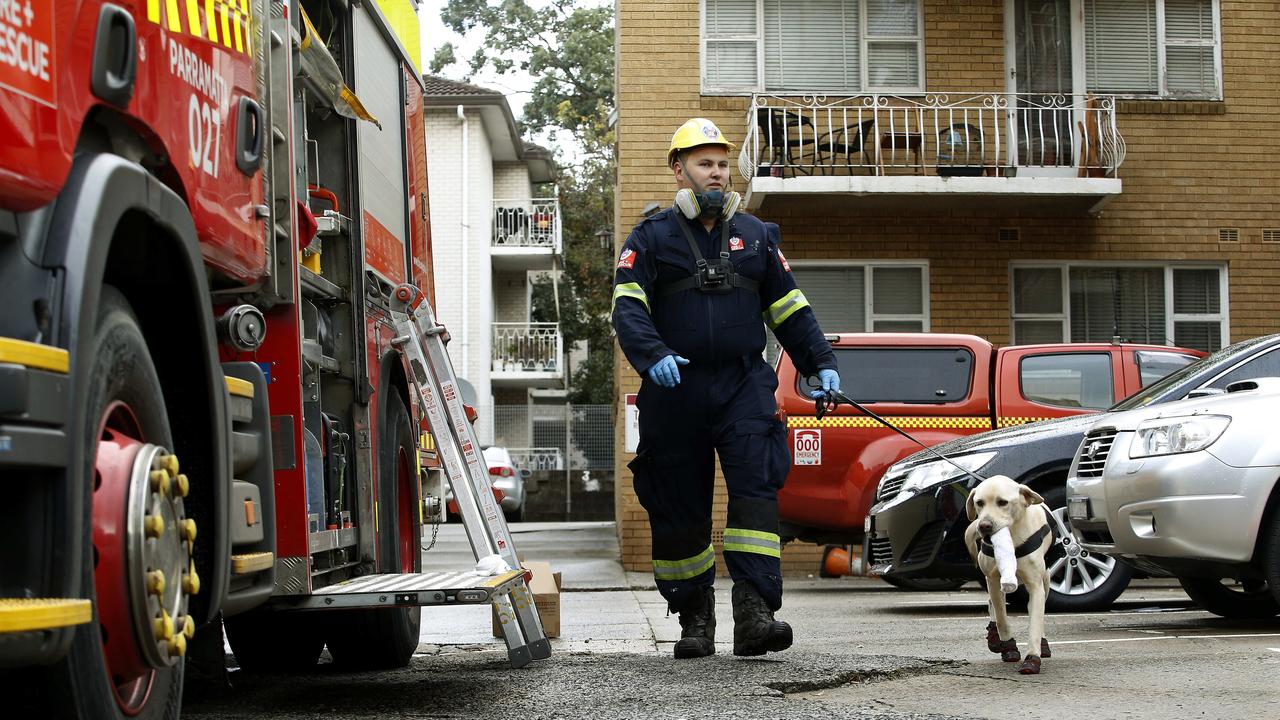 Senior FRNSW firefighter Craig Gordon with ignitable liquid detection dog Xenos, after conducting a sweep of an apartment fire. Picture: John Appleyard