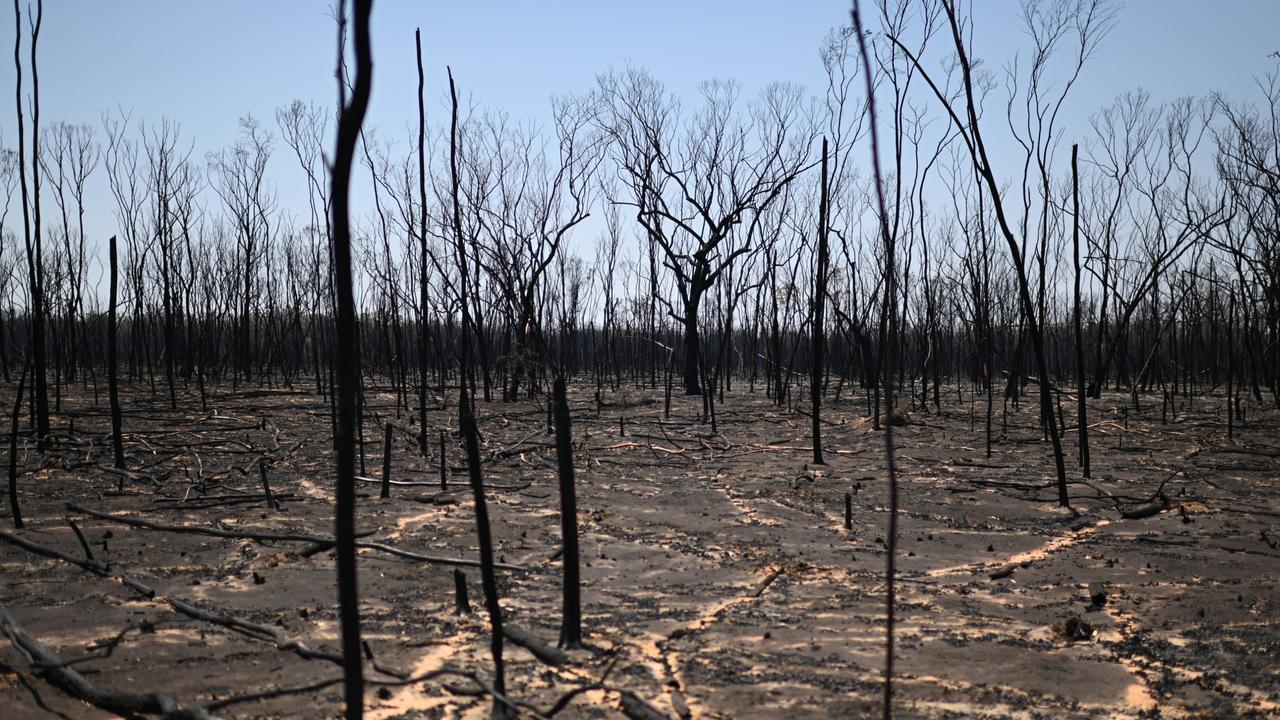 New threat for areas plagued by bushfires